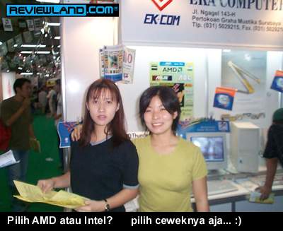 amd-6.jpg (20396 bytes)