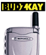 hp-v8088-a1.gif (3934 bytes)